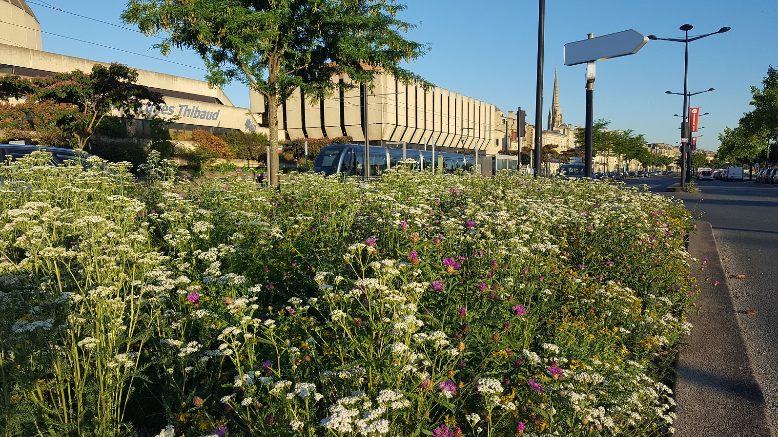 Cartographie nationale